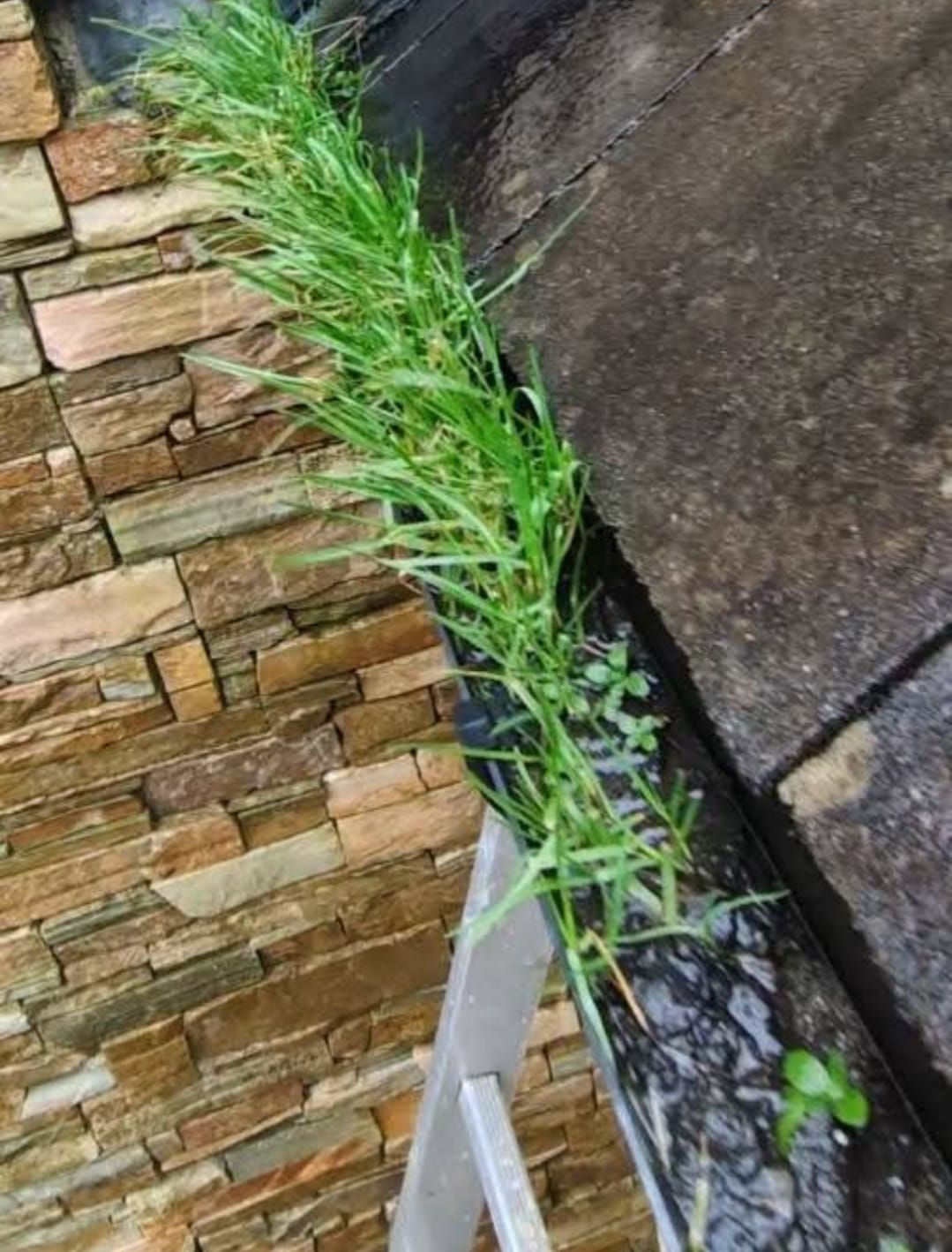 Gutter clearance and debris removal
