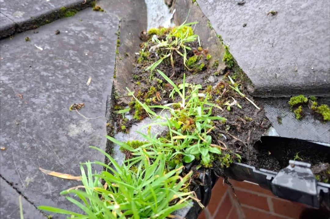 Downpipe inspection and flush
