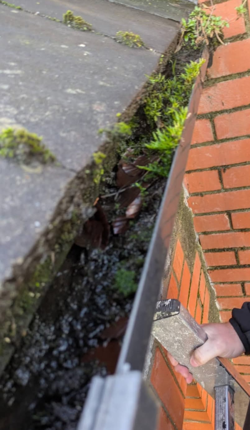 Clean gutters after professional maintenance