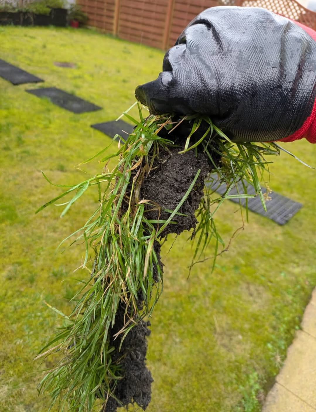 Gutter cleaning results in County Antrim