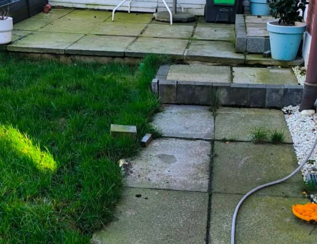 Moss and algae removal by pressure washing